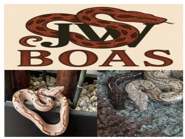 jwboas.com logo with snake examples